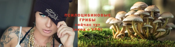скорость Алзамай