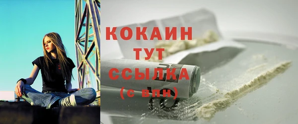 бошки Сатка