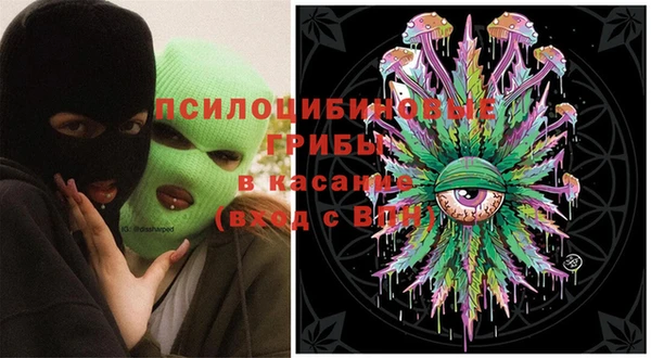 гидра Алексеевка