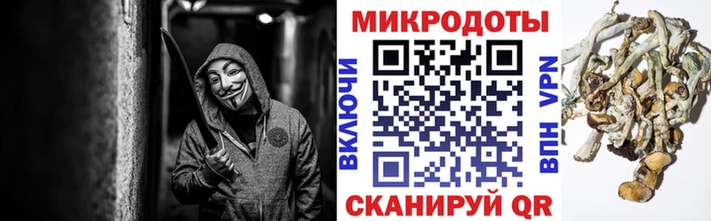 купить mega онион Псилоцибиновые грибы мухоморы Кропоткин