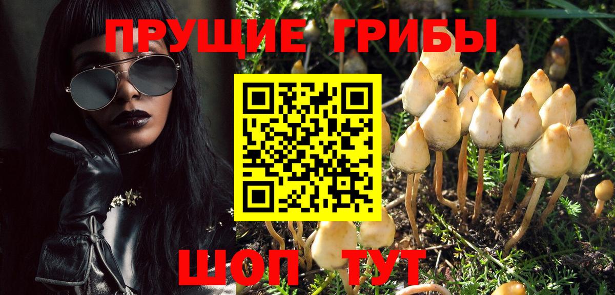 Галлюциногенные грибы GOLDEN TEACHER  Вход с VPN  Галлюциногенные грибы MAGIC MUSHROOMS  Кропоткин 
