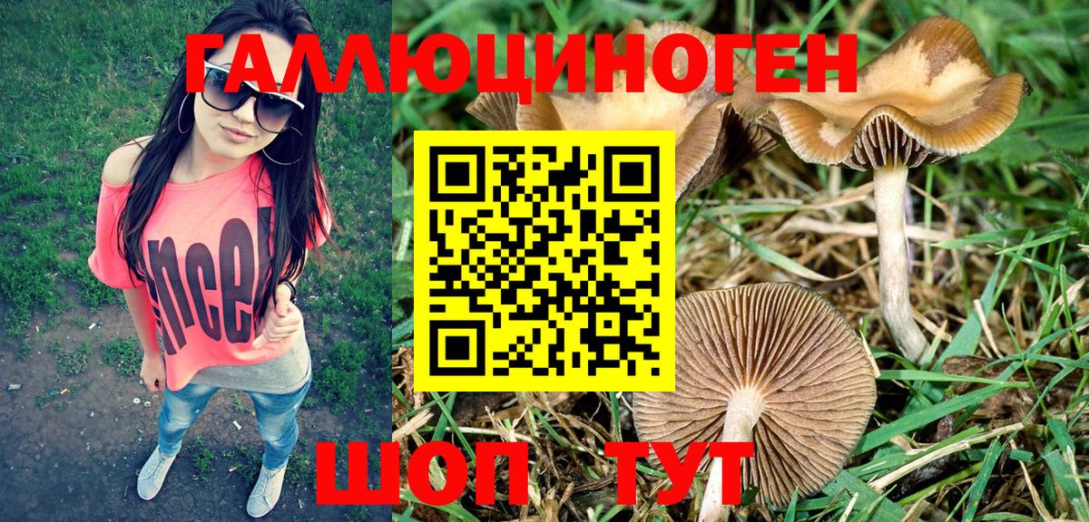 Галлюциногенные грибы ЛСД Кропоткин